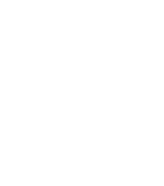 Landlord Chargers Icon